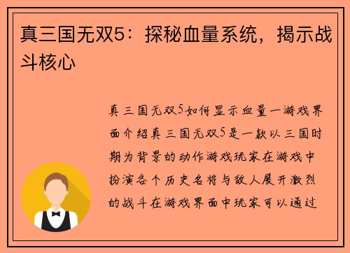 真三国无双5：探秘血量系统，揭示战斗核心